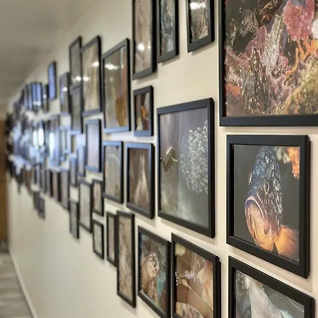 Maison D'exception En Lisiere De Foret Avec Wifi Et Parking Aux Angles - Fr-1-295-215